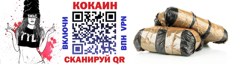 Купить закладки  Электрогорск  COCAIN FishScale 