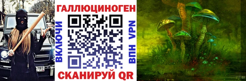 Купить закладки Электрогорск Галлюциногенные грибы Psilocybe
